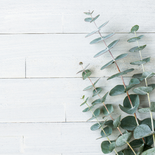 Vanilla Pear Hand Cream