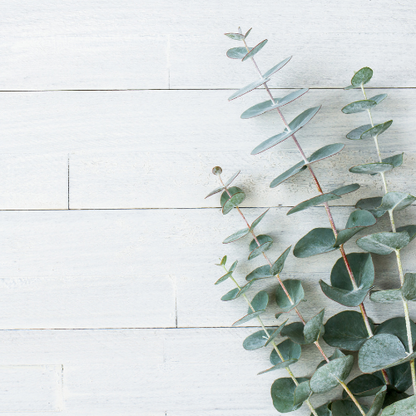 Vanilla Pear Hand Cream